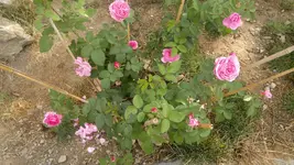 2013-08-24-3168.webp