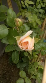 2013-08-24-3172.webp