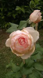 2013-08-24-3174.webp