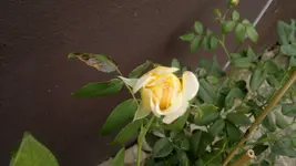 2013-08-24-3175.webp