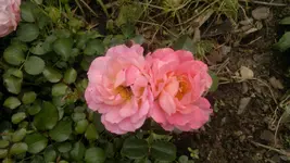 2013-08-23-3138.webp