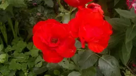 2013-08-23-3137.webp