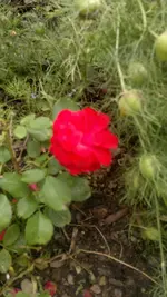 2013-08-23-3141.webp
