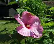 comp_DSC04290.webp