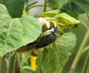 comp_DSC04321.webp