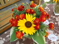 DSCN2469.webp