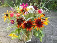 DSCN2471.webp