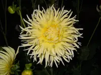 DSCN2453.webp