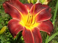 Juli_13 (31).webp