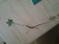 20130825_154551.webp