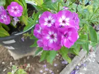 DSCN0896.webp