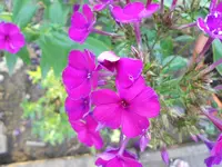 DSCN0901.webp
