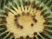 140.webp