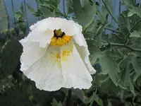 122.webp