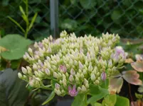 P1080810.webp