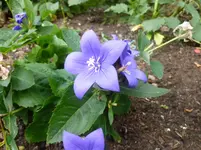 P1080808.webp