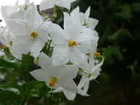 P1080800.webp
