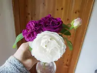 CIMG0468.webp