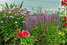 Teil Hangbeet_1024.webp