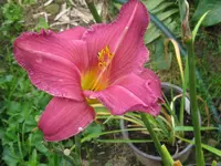 hildegard5_1024x768.webp