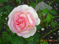august22 006.webp