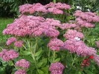 BILD1777.webp
