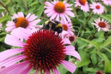 2013_0826Sommer0009.webp