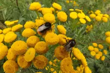 2013_0826Sommer0022.webp
