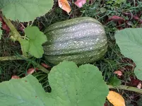 1-DSCF9027.webp
