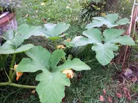 1-DSCF9028.webp
