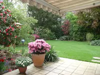 Rollrasen(neu).webp