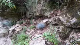 20130826_091109.webp