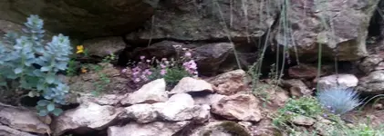 Felsenwand.webp