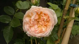 2013-08-27-3259.webp