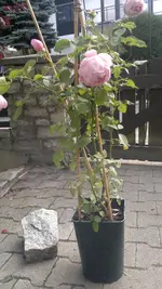 2013-08-27-3224.webp