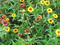 022.webp