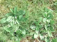 BILD1014.webp