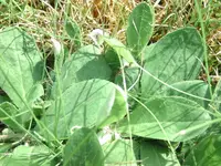 BILD1015.webp