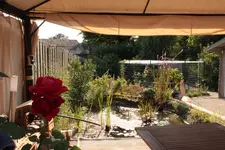 Blick vom Pavillon.webp