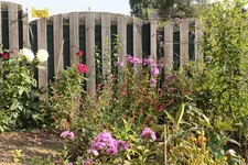 Rabatte Garagenweg.webp