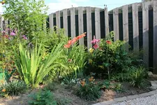 Rabatte Garagenweg_2.webp