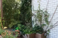 Schattenbeet 130827.webp