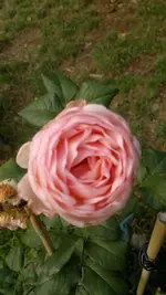 2013-08-27-3265.webp