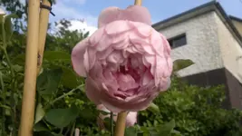 2013-08-27-3266.webp