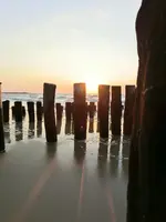 CIMG5047.webp