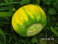 SAM_0278.webp