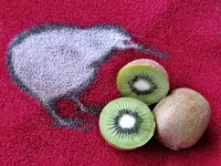 Kiwis v.webp
