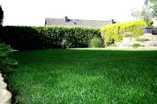 IMG_4308.webp