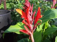 100_5604.webp