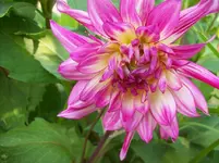 100_5602.webp